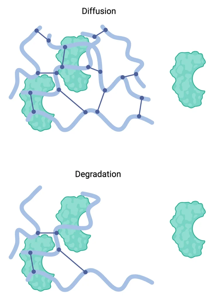 diffusion degradation