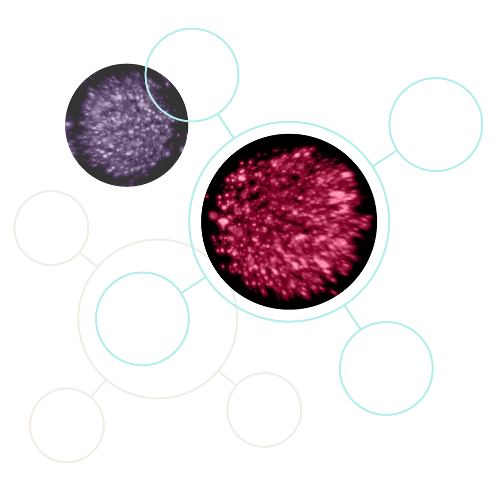Circular line illustrations highlighting microscopic cell photography.