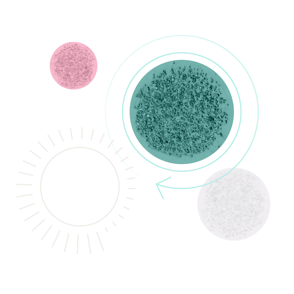 Circular line illustrations highlighting microscopic cell photography.