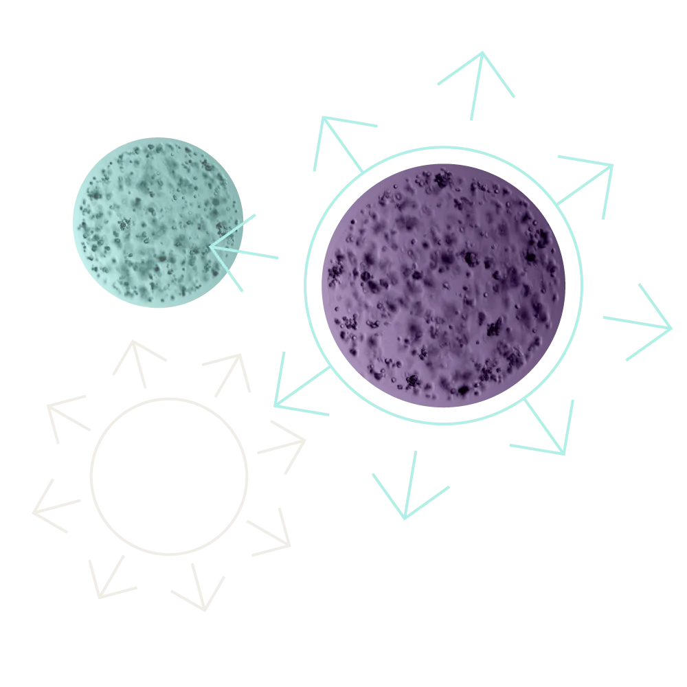 Circular line illustrations highlighting microscopic cell photography.