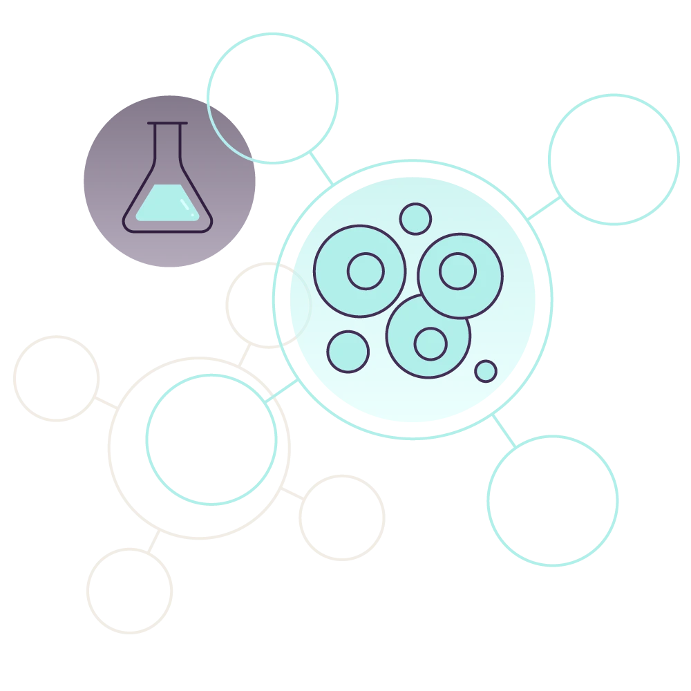 Circular line illustrations highlighting small cells and an Erlenmeyer flask.