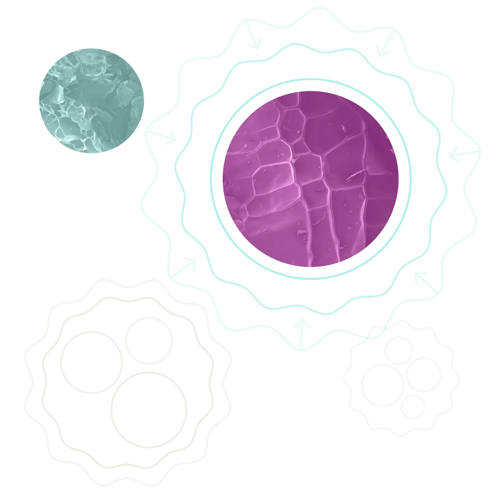 Circular line illustrations highlighting microscopic cell photography.