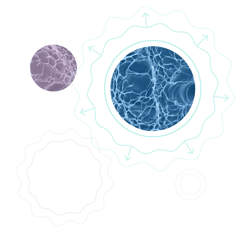Circular line illustrations highlighting microscopic cell photography.