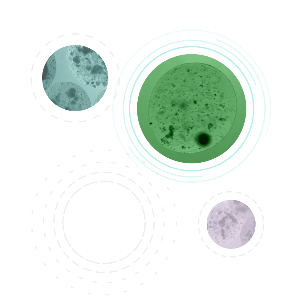 Circular line illustrations highlighting microscopic cell photography.