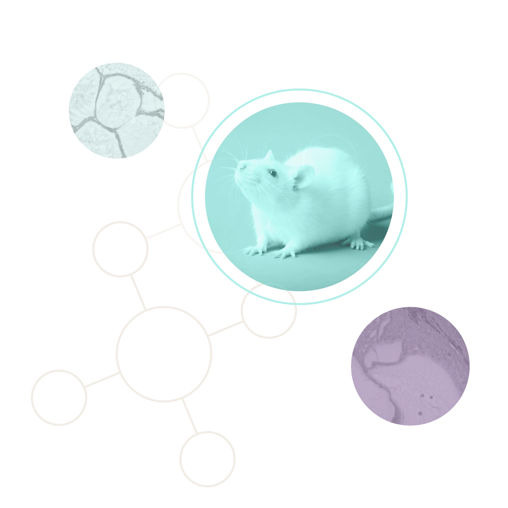 Circular line illustrations highlighting cell microscopy and lab specimens.